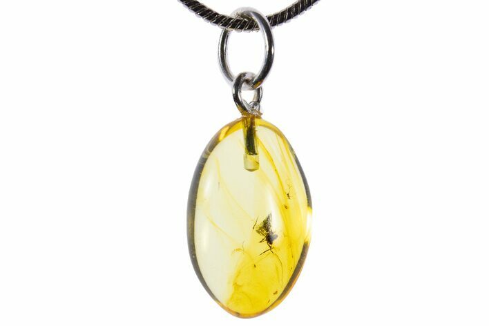 Polished Baltic Amber Pendant (Necklace) - Leafhopper Nymph! #339579